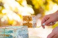 Beautiful autumn picnic in nature in the park. Delicious branded cake