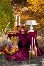 Beautiful autumn picnic in nature in the park