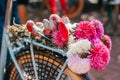 Flowers in a bicycle Royalty Free Stock Photo