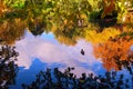 Beautiful autumn pond with ducks and trees reflected in water Royalty Free Stock Photo