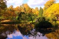Beautiful autumn pond with ducks and trees reflected in water Royalty Free Stock Photo