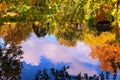 Beautiful autumn pond with ducks and trees reflected in water Royalty Free Stock Photo