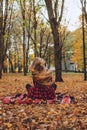 Beautiful autumn portrait of young woman with long natural blonde hair with yellow leaves in red checkered dress. Romantic Girl Royalty Free Stock Photo