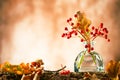 Beautiful autumn red berries and oak leaves in glass bottle on wood at bokeh background, front view. Autumn still life with