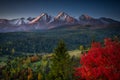 Beautiful autumn with a red tree under the Tatra Mountains at sunrise. Slovakia Royalty Free Stock Photo