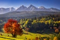 Beautiful autumn with red trees under the Tatra Mountains at sunrise. Slovakia Royalty Free Stock Photo