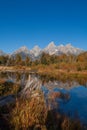 Autumn Reflection Landscape in Grand Teton National Park Wyoming Royalty Free Stock Photo