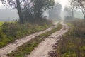 Beautiful autumn road path, trail, track Royalty Free Stock Photo