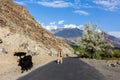 Beautiful autumn scene along Karakorum highway