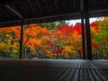 Beautiful autumn scene of colorful maple trees in japanese temple garden for background Royalty Free Stock Photo