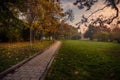 Beautiful autumn scene in the morning in the park on an alley Royalty Free Stock Photo