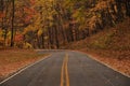 Beautiful autumn scene with a picturesque road with a canopy of vibrant yellow and orange leaves