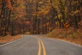 Beautiful autumn scene with a picturesque road with a canopy of vibrant yellow and orange leaves