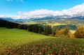 Beautiful autumn scenery of an alpine ranch with the cattle grazing on grassy pasture Royalty Free Stock Photo