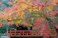 Beautiful autumn scenery of colorful maple trees by a red bridge in Kyoto, Japan Royalty Free Stock Photo