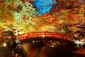Beautiful autumn scenery of fiery maple trees in a Japanese Garden in Kitano Tenmangu Shrine
