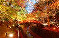 Beautiful autumn scenery of fiery maple trees in a Japanese Garden in Kitano Tenmangu Shrine Royalty Free Stock Photo