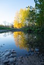 A beautiful autumn scenery at the forest lake with reflections.