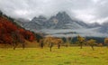 Beautiful autumn scenery of grassy meadows & colorful maple trees by the rocky mountainside on a foggy moody morning Royalty Free Stock Photo