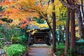 Beautiful autumn scenery of Nison-in Temple, a famous Buddhist temple in Kyoto, with colorful Japanese maple trees Royalty Free Stock Photo