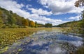 Beautiful autumn scenery in North Carolina. Royalty Free Stock Photo