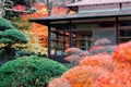 Beautiful autumn scenery of a traditional Japanese wooden house surrounded by fiery maple foliage in a peaceful zen-like atmospher Royalty Free Stock Photo