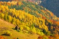 Beautiful autumn scenery with traditional straw roof house in Ap