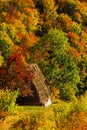 Beautiful autumn scenery with traditional straw roof house in Ap