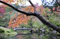 Beautiful autumn scenery of the trees in the park. Wonderful beauty and harmony of the nature.