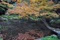 Beautiful autumn scenery of the trees in the park. Wonderful beauty and harmony of the nature.