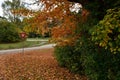 Beautiful Autumn Scenic with Yield Sign and Chickens Royalty Free Stock Photo