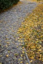 The beautiful autumn stone paved road is flanked by golden leaves Royalty Free Stock Photo