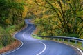 Beautiful autumn stretch of curves on a rural road between deciduous forests Royalty Free Stock Photo