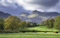 Beautiful autumn sunlight shining on Lake District mountains with trees and cows in the valley