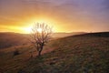 Beautiful autumn sunset landscape among the hills with bare tree Royalty Free Stock Photo