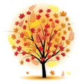 Beautiful autumn tree. Royalty Free Stock Photo