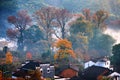 The beautiful autumn trees scenic in Shicheng Wuyuan Royalty Free Stock Photo