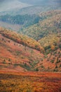 Beautiful autumn in Ukraine. Mountain hills covered red carpet leaves