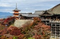 Beautiful autumn view of Kiyomizu-dera Temple in Kyoto, Japan Royalty Free Stock Photo