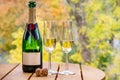 Beautiful autumn view of a champagne bottle with two glasses on a table outdoors. Royalty Free Stock Photo