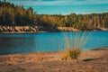 Beautiful autumn view of the clump of reeds on the background of the lake Royalty Free Stock Photo