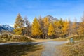 Beautiful autumn view of Grossglockner High Alpine Road Royalty Free Stock Photo