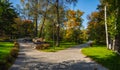 Beautiful autumn view of Sokolniki Park in Moscow. Bifurcation of the road