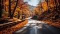 A beautiful autumn view of a winding road lined with trees displaying vibrant fall colors Royalty Free Stock Photo