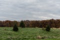 Autumn vista in West Lafayette, Indiana Royalty Free Stock Photo