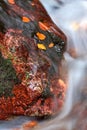 Beautiful autumn water between red stones Royalty Free Stock Photo
