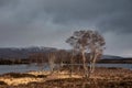 Beautiful Autumn Winter landscape image looking over Loch Ba in Scotland Royalty Free Stock Photo