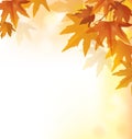 Beautiful autumn yellow background