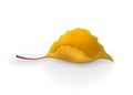 Beautiful autumn yellow cartoon leaf