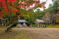 Beautiful autumnal alley in the park of Kyoto